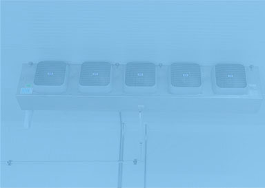 Farmacéuticos y Laboratorios