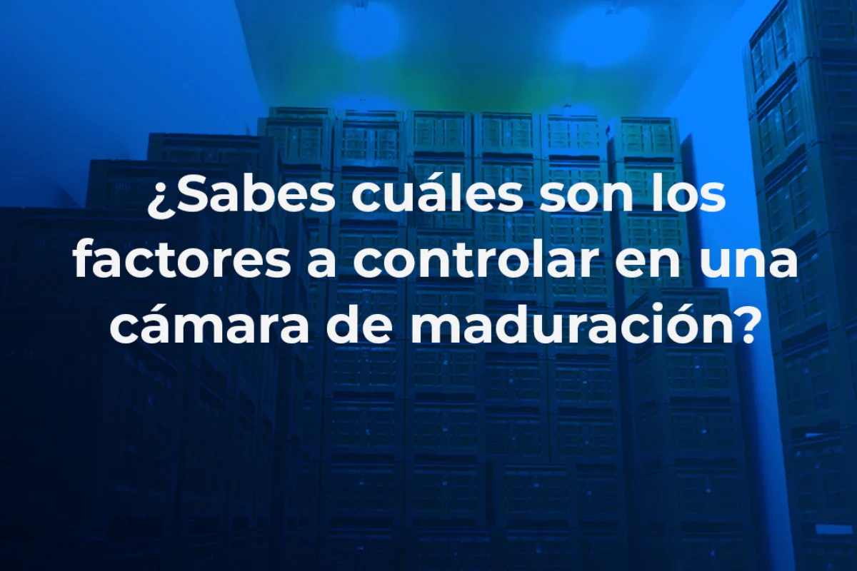 Aspectos clave en la maduración de frutas
