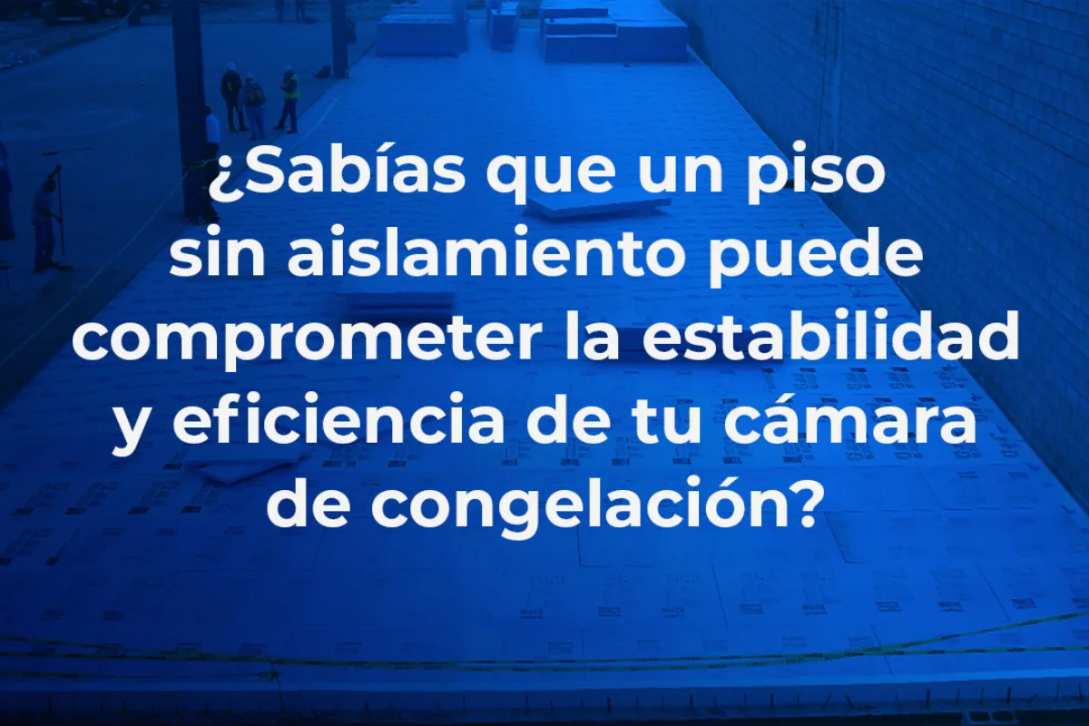 Cómo evitar el congelamiento del subsuelo en cámaras de congelación